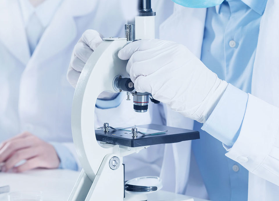 广州市晟洋生物科技有限公司