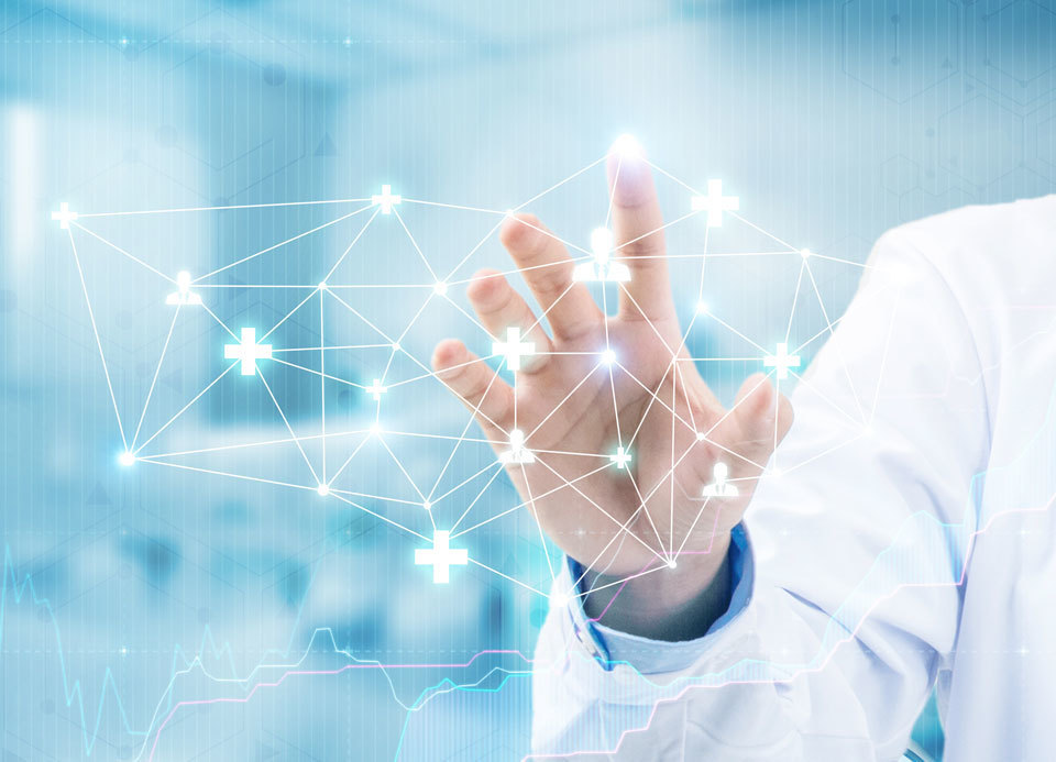 广州市晟洋生物科技有限公司