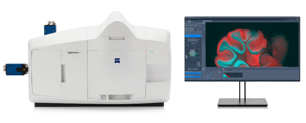 Lightsheet 7
